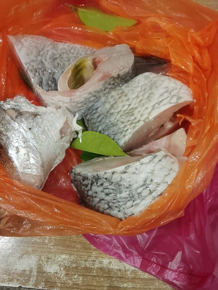 Tokmat @Selamatbangiwonderland tweet media