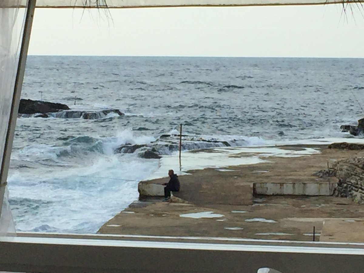 vivet kanetti uluç tweet media