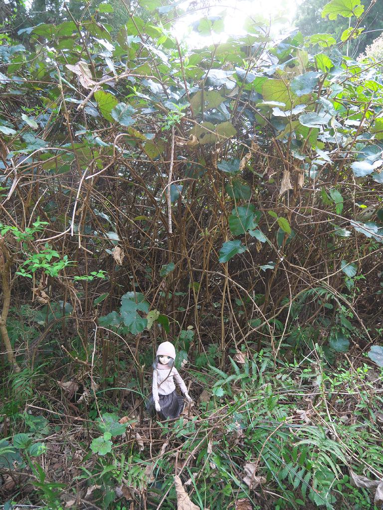 けうゐ tweet media