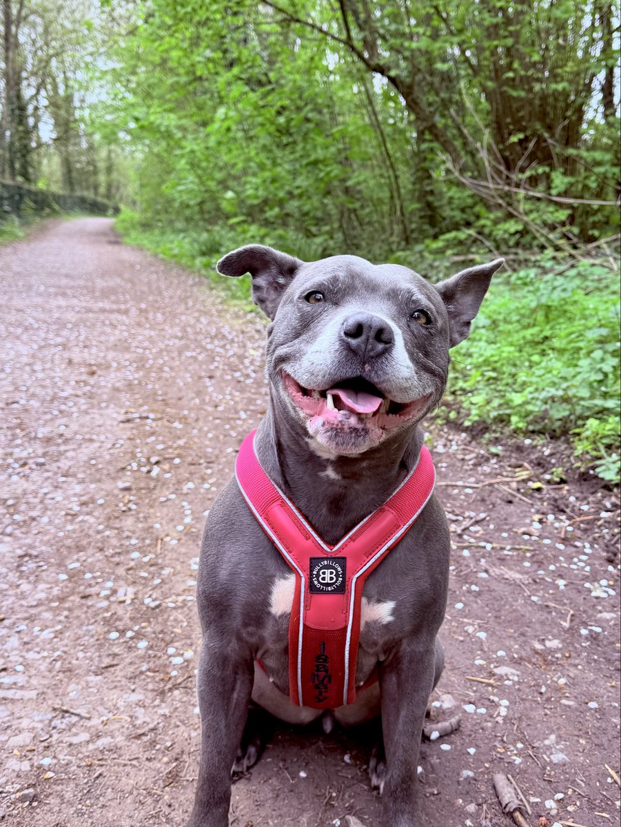 Isa Mary tweet media