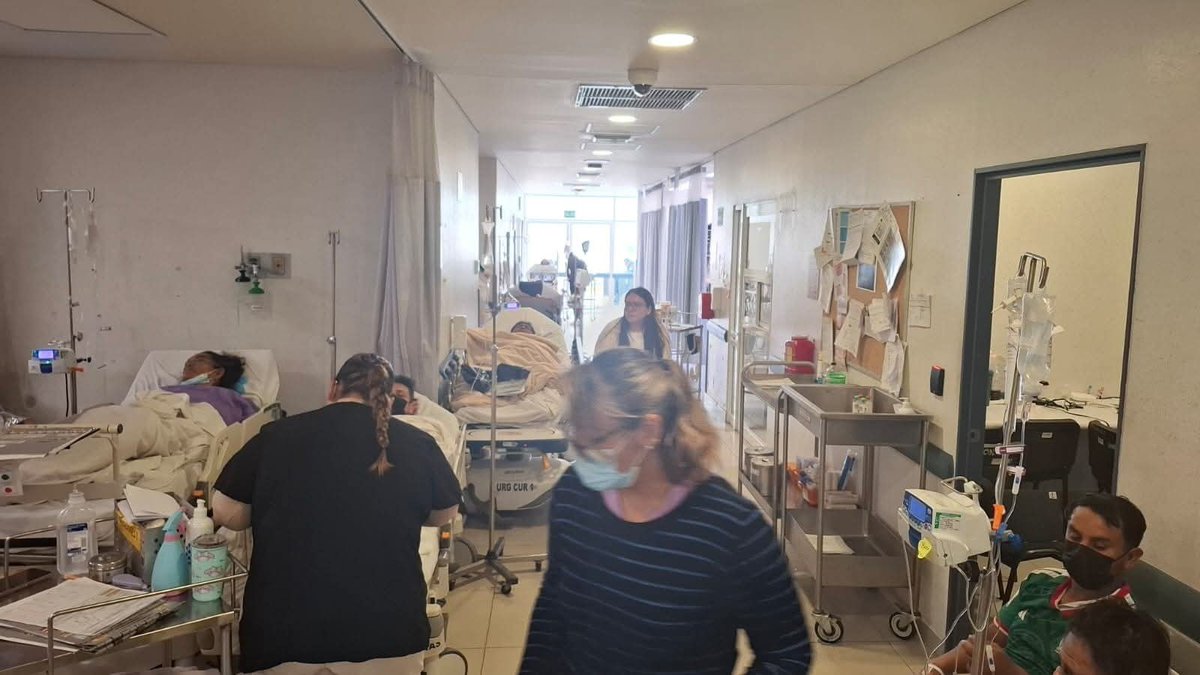 𝐀𝐯𝐬𝐞 𝐅𝐞𝐫𝐧𝐚𝐧𝐝𝐨 𝐅𝐥𝐨𝐫𝐞𝐬 tweet media