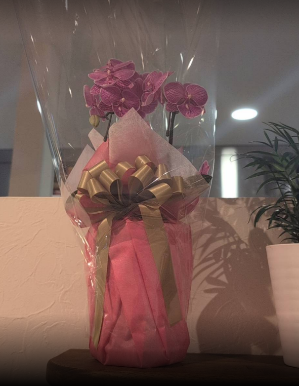 毛ならあるよ♂ tweet media