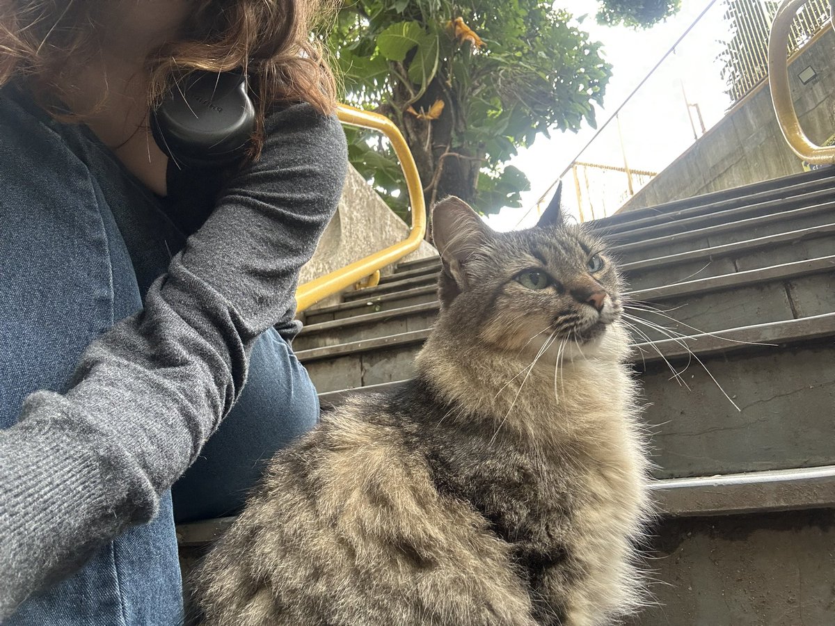 luisa experimental diva fm tweet media