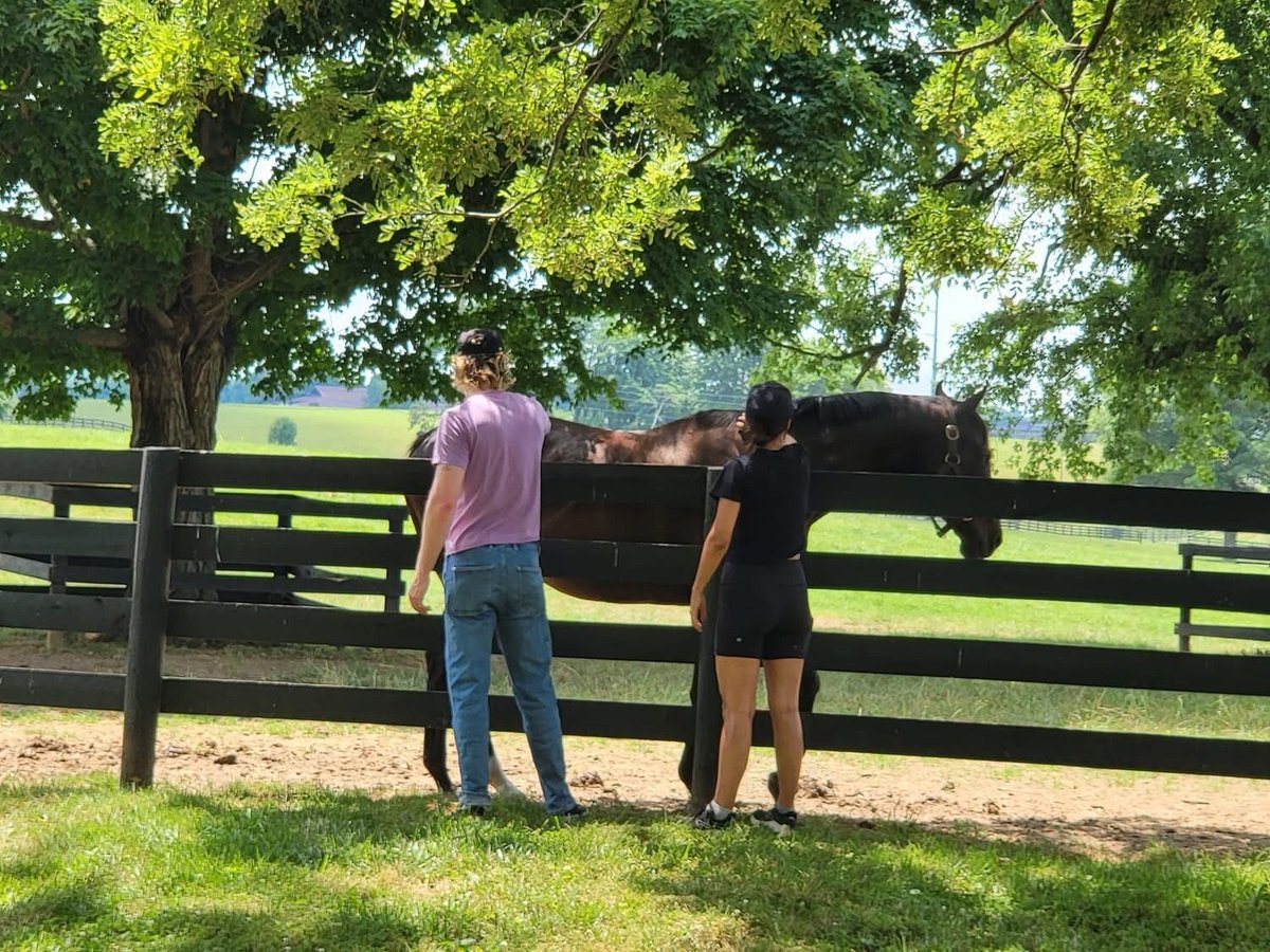 Oldham County Tourism KY tweet media