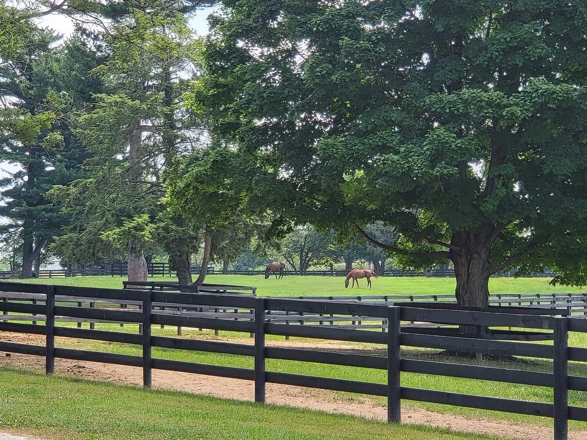 Oldham County Tourism KY tweet media