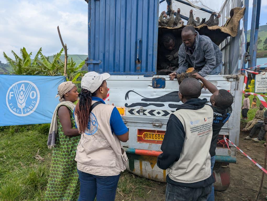 FAO en République démocratique du Congo tweet media