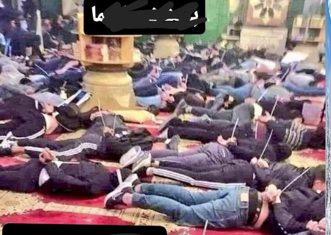 👑Sami👑 tweet media