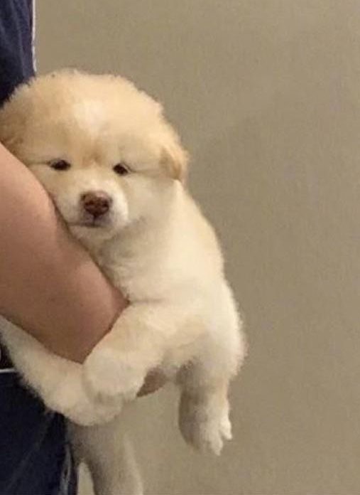 𝗹𝗶𝗹𝘆 ˖°🌊🩵 tweet media