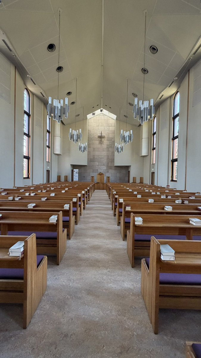 菊地理恵｜Violin 🎻 tweet media