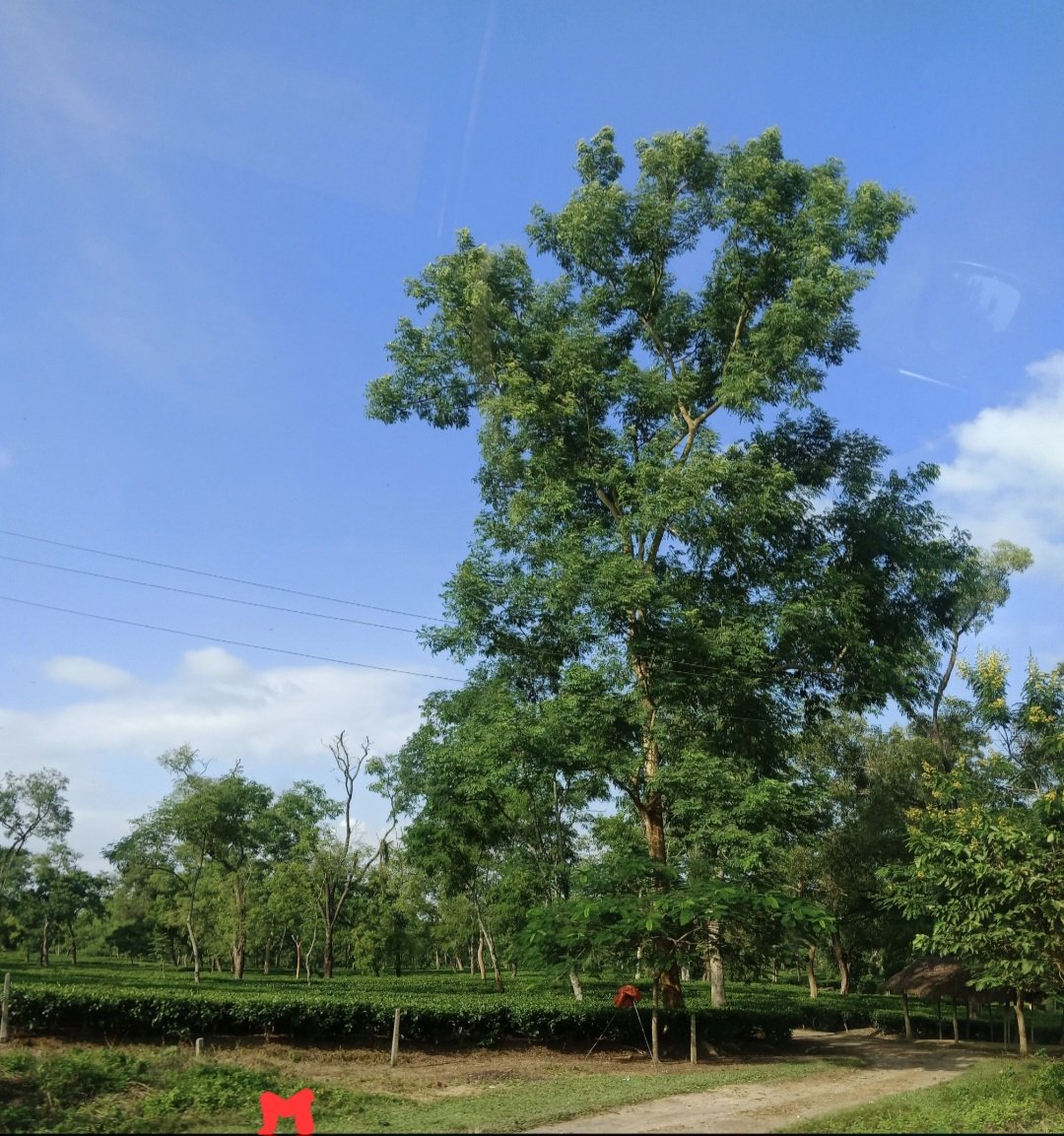 Manisha Kataki tweet media