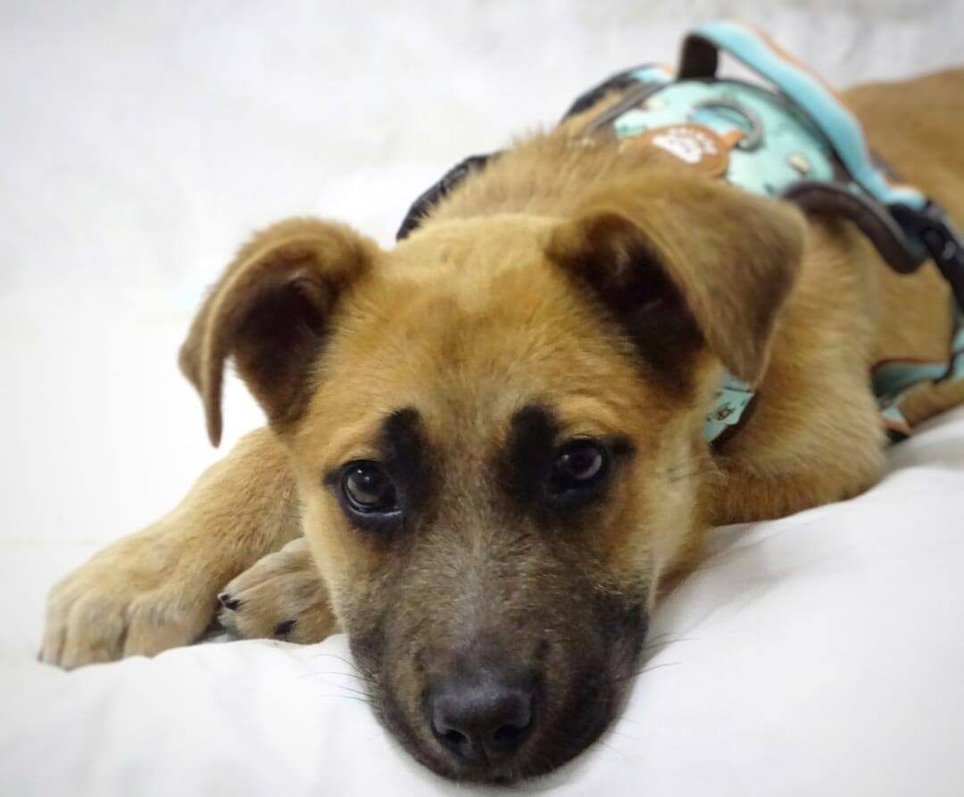 💛Miss Marieta💜🍉 tweet media