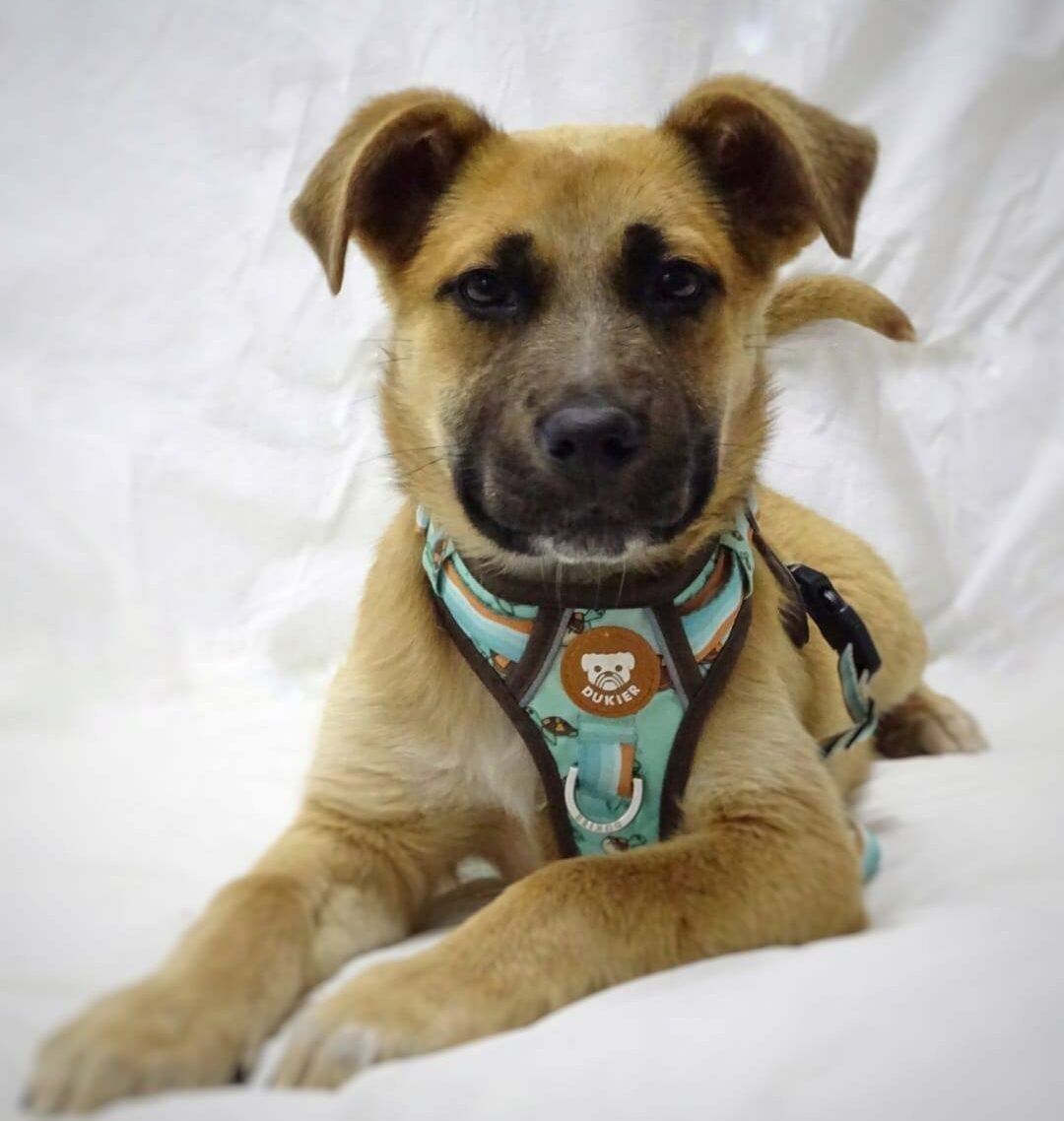 💛Miss Marieta💜🍉 tweet media