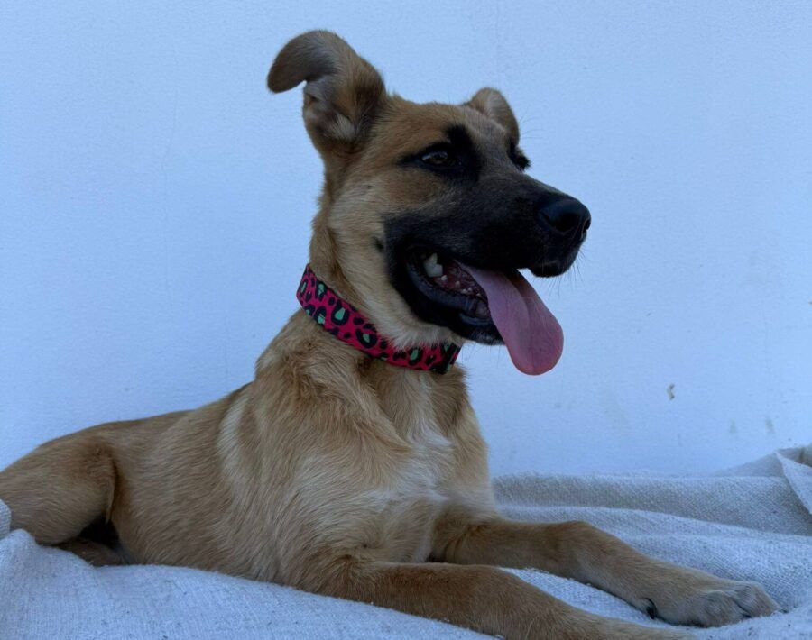 💛Miss Marieta💜🍉 tweet media