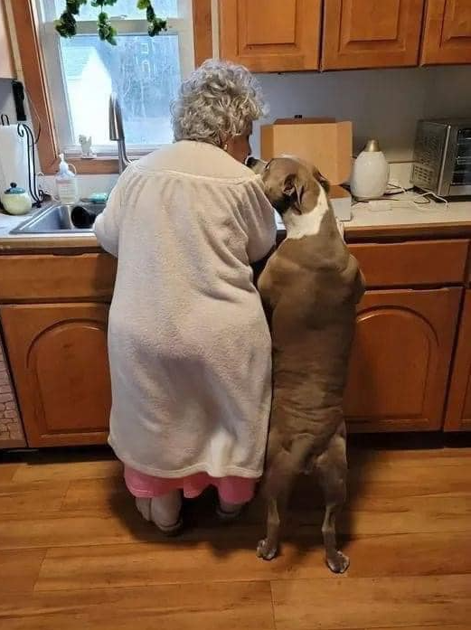 Tweets of Dogs tweet media