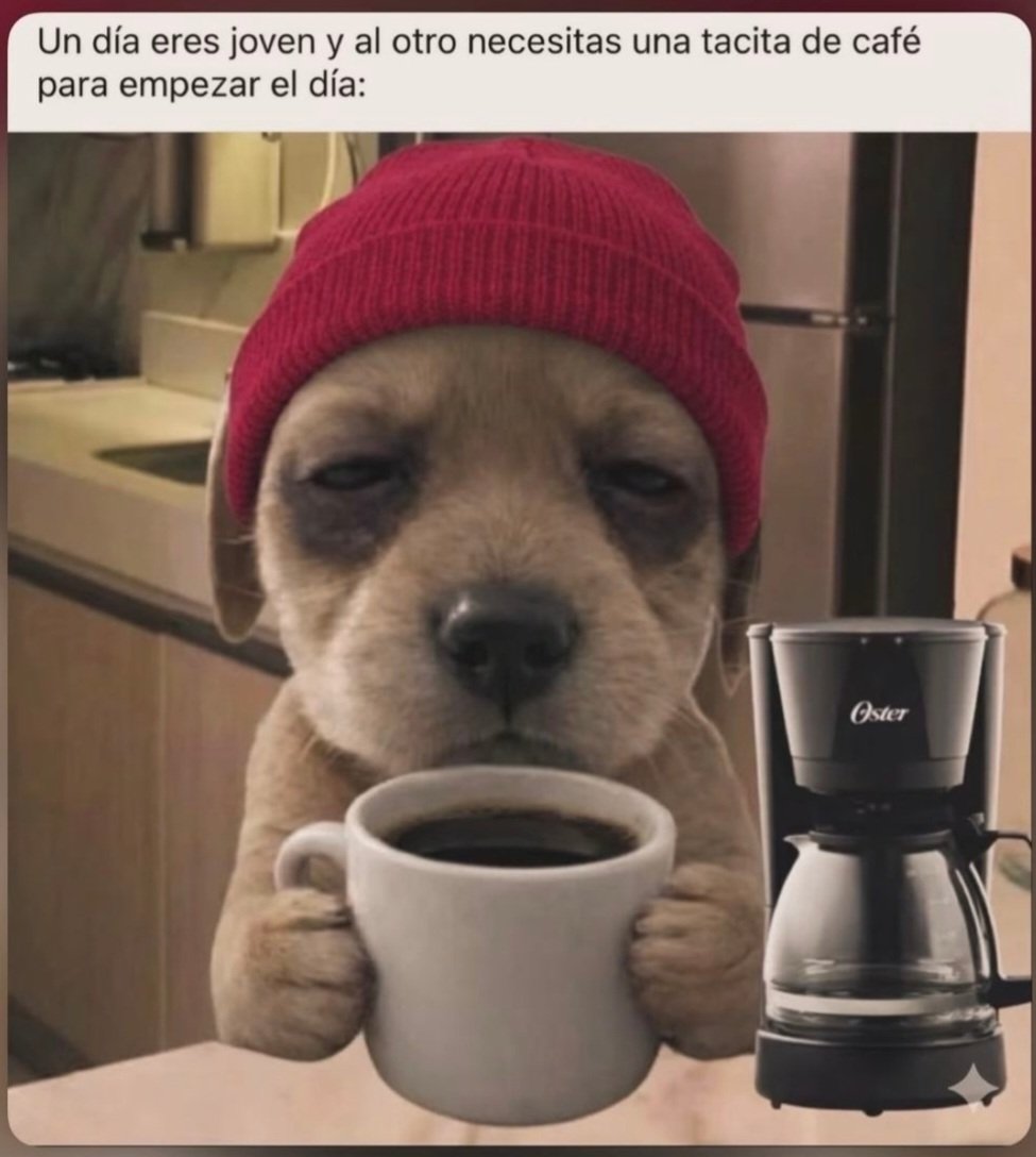 GeovyJ🔅🎶✨️ tweet media