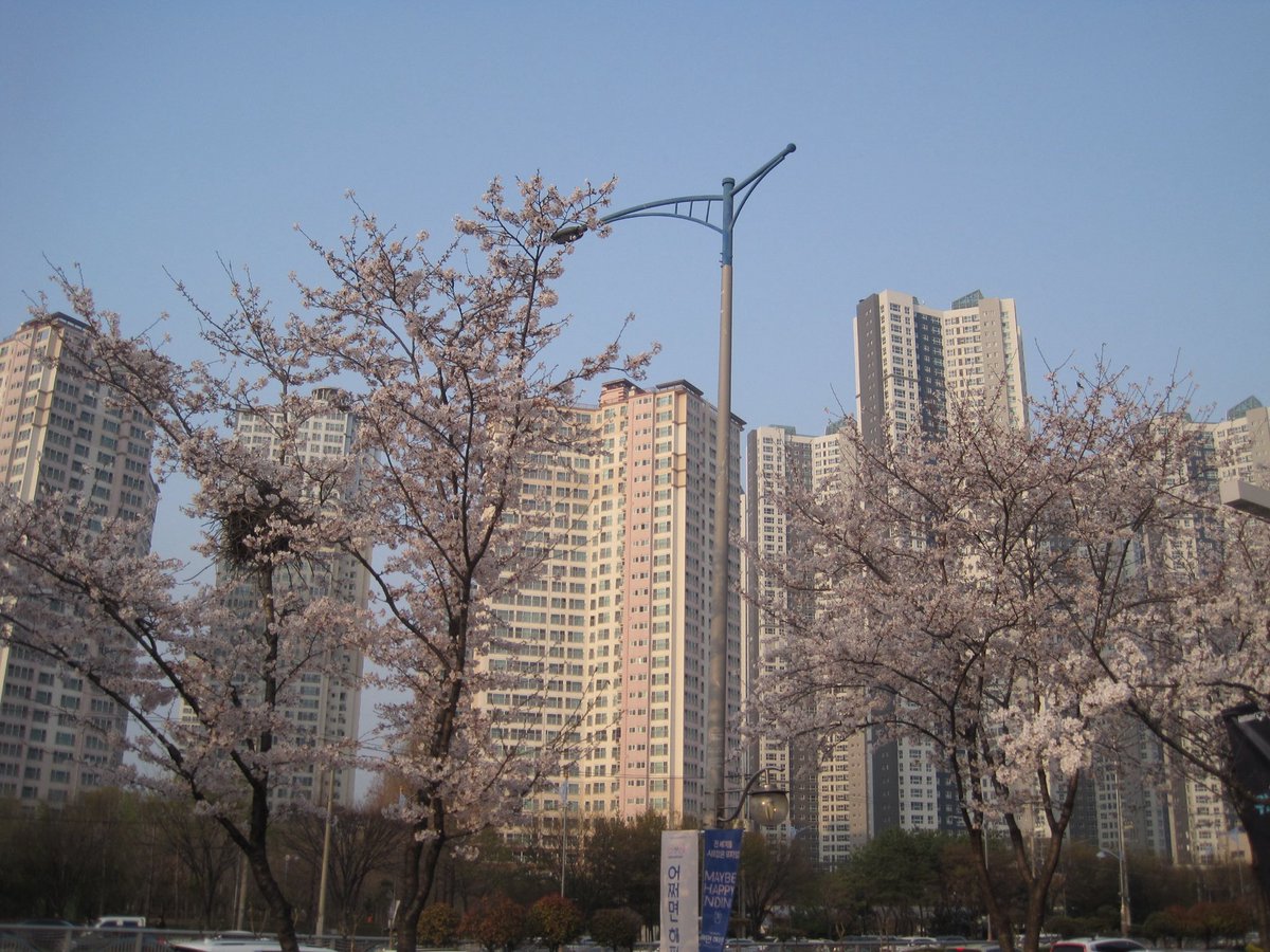 적 tweet media
