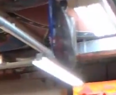 BluBerry🏳️‍⚧️ tweet media