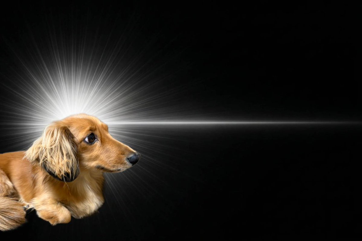 パティ tweet media