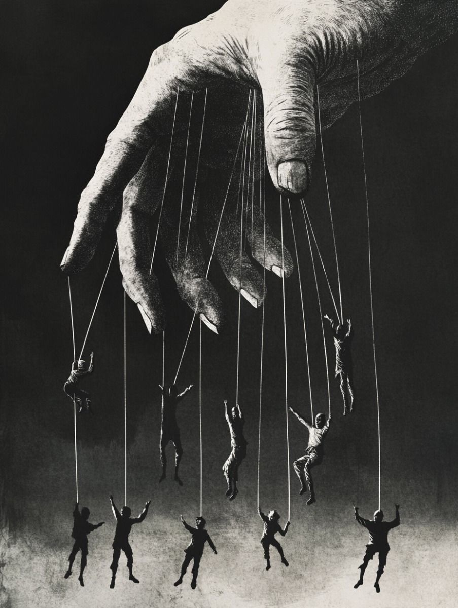 🧬Maxpein🧬 tweet media