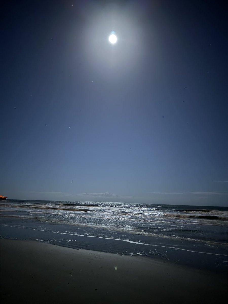 Rose Trace tweet media