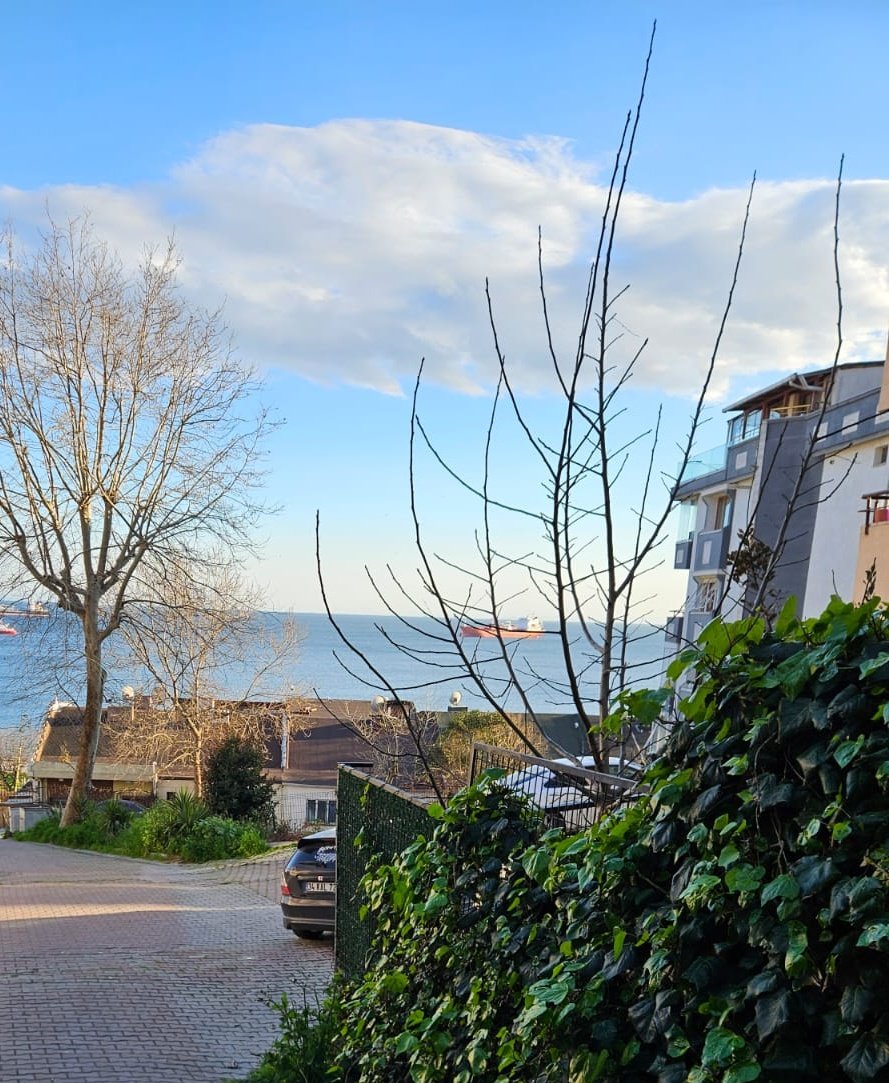 🌊دِنیز🌊 tweet media