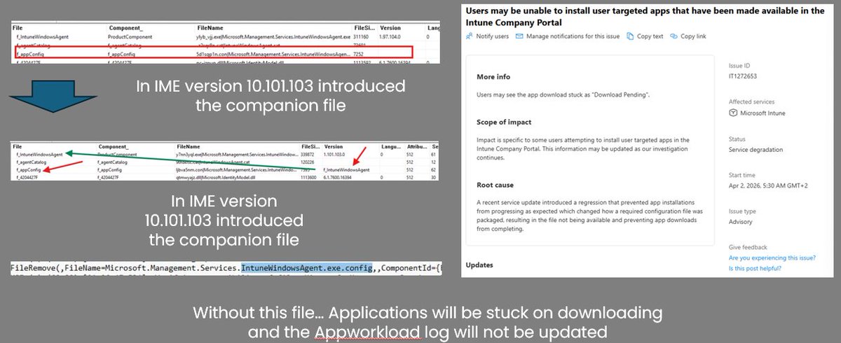 Rudy Ooms tweet media