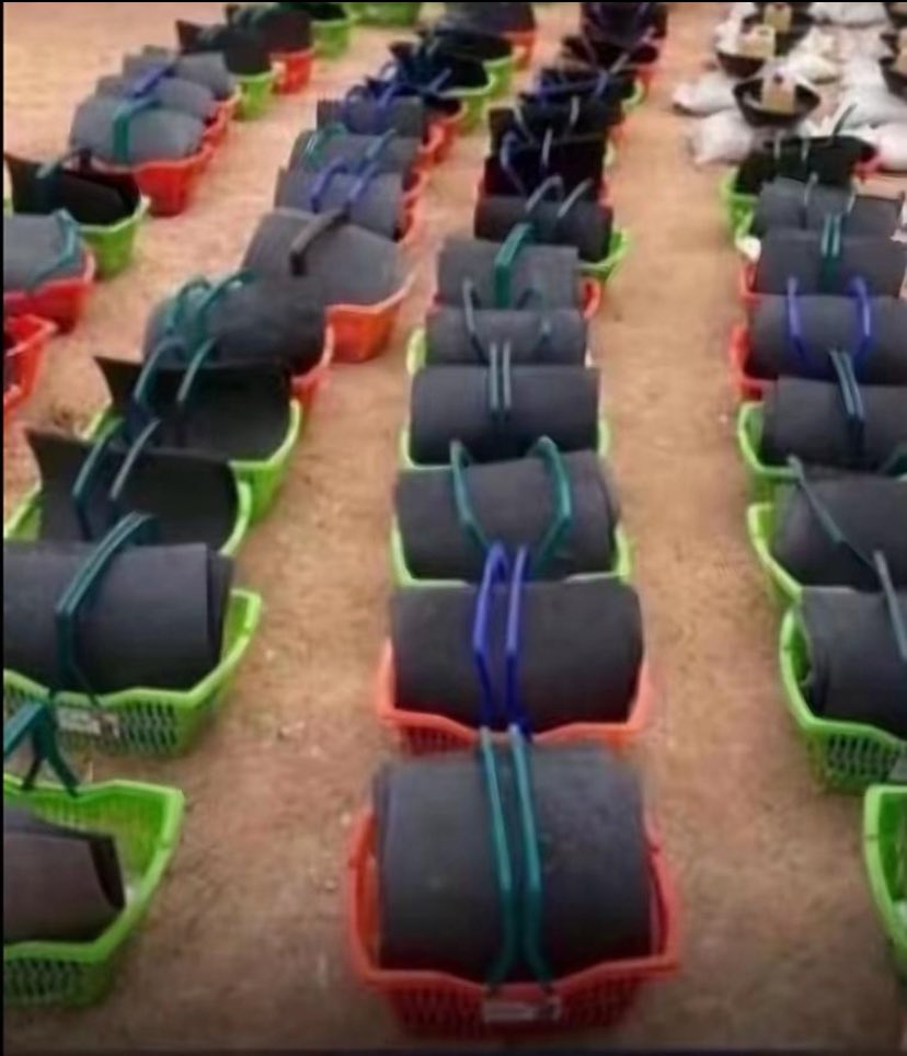 Chuqu_Mah tweet media