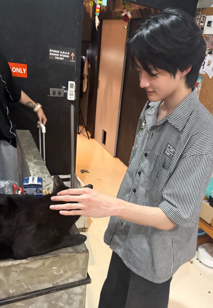 ทุกคนให้ทายว่ามีเเมวกี่ตัว