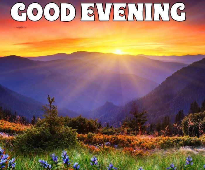 Ijazmalik101's tweet image. Good evening! 🌇
May this beautiful evening bring you peace, relaxation, and a heart full of gratitude. Let go of the day’s worries and enjoy the calm moments ahead. Have a wonderful and refreshing evening! ✨ #Goodevening #Positivevibes