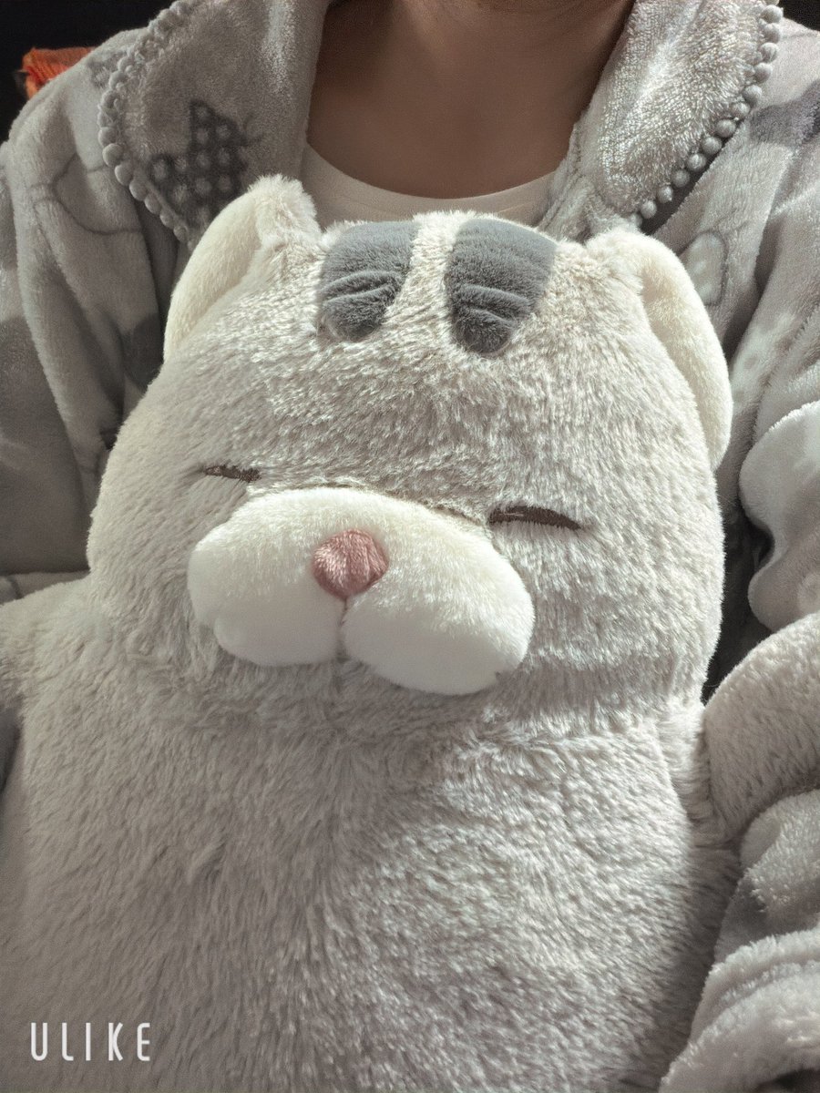 ゆみたん★進撃の女神★みんなの応援団 tweet media