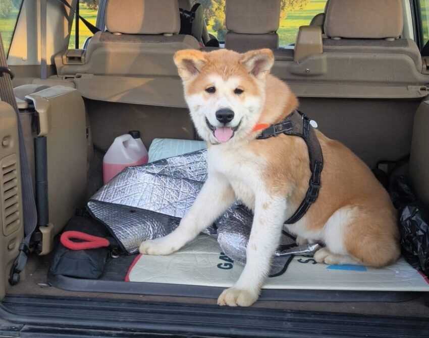 💛Miss Marieta💜🍉 tweet media