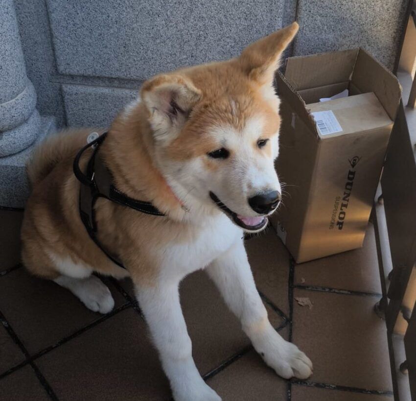 💛Miss Marieta💜🍉 tweet media