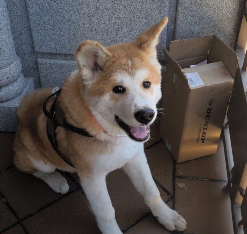 💛Miss Marieta💜🍉 tweet media