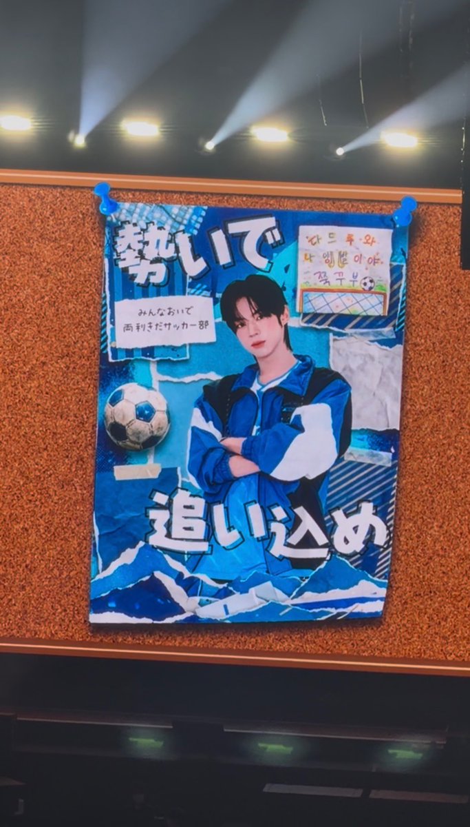 도후나러버 tweet media