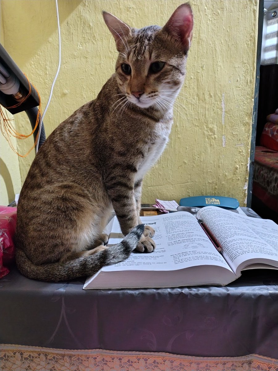 SAUMYA SINGH tweet media