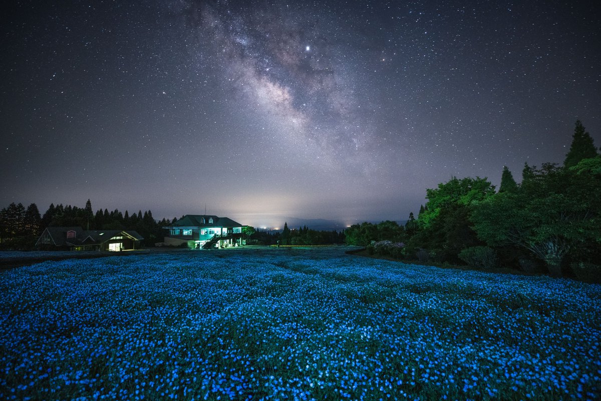 ココロに残るイベント図鑑 tweet media