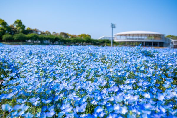 ココロに残るイベント図鑑 tweet media