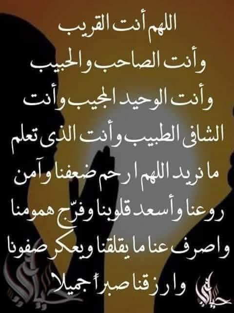 mayibrahim💕💕🇪🇬💕💕 tweet media