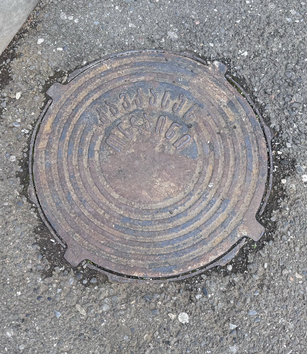 ティムラズ・レジャバ駐日ジョージア大使 tweet media