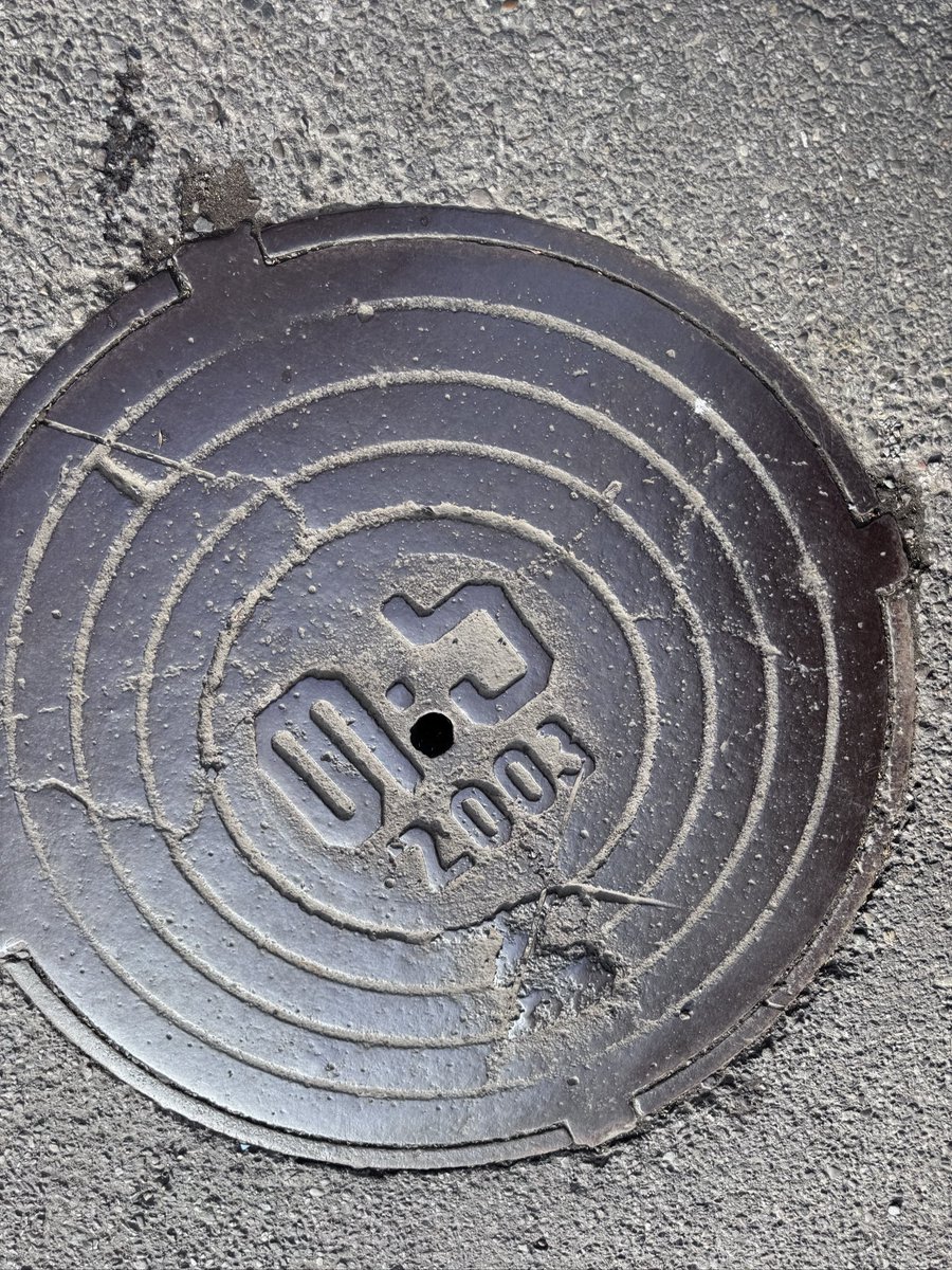 ティムラズ・レジャバ駐日ジョージア大使 tweet media