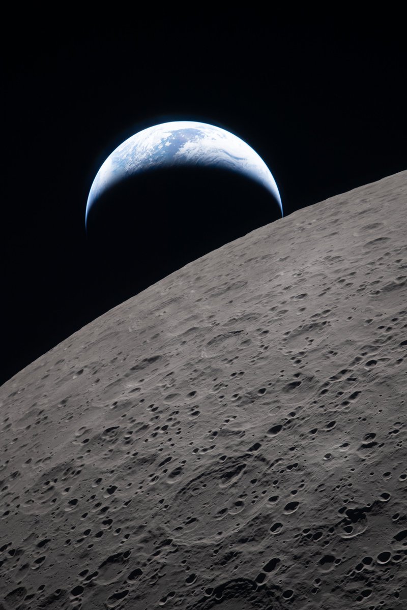 Nix Vintro❄️ Comms Open 🤍 tweet media