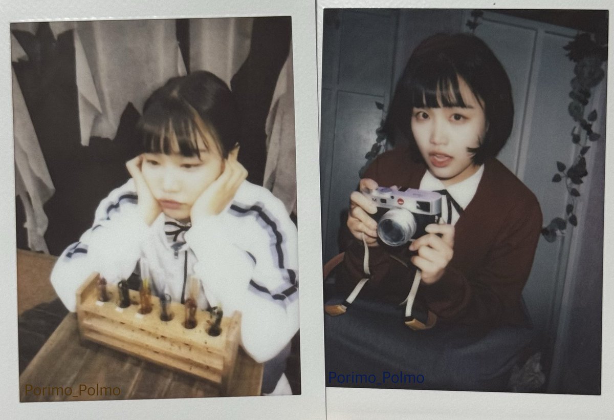 포리모 tweet media