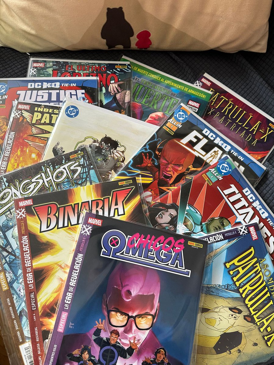 Quikoso 🐻🇹🇷 tweet media