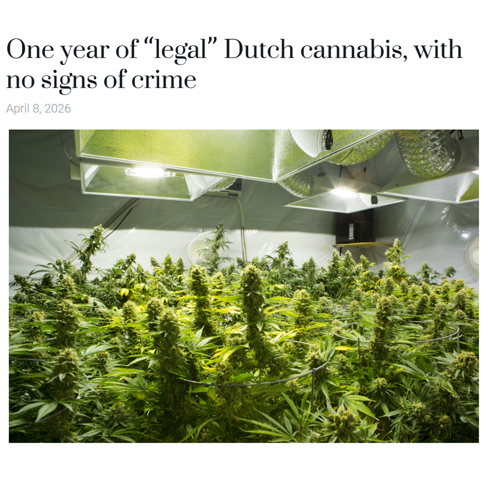 London Seed Centre tweet media