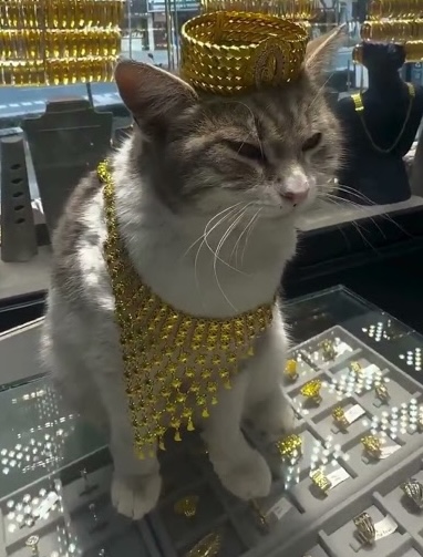 Boşuna Tıklama tweet media