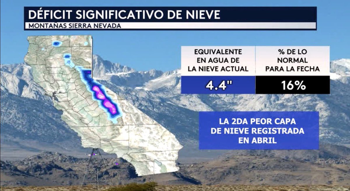 Anthony Duarte tweet media