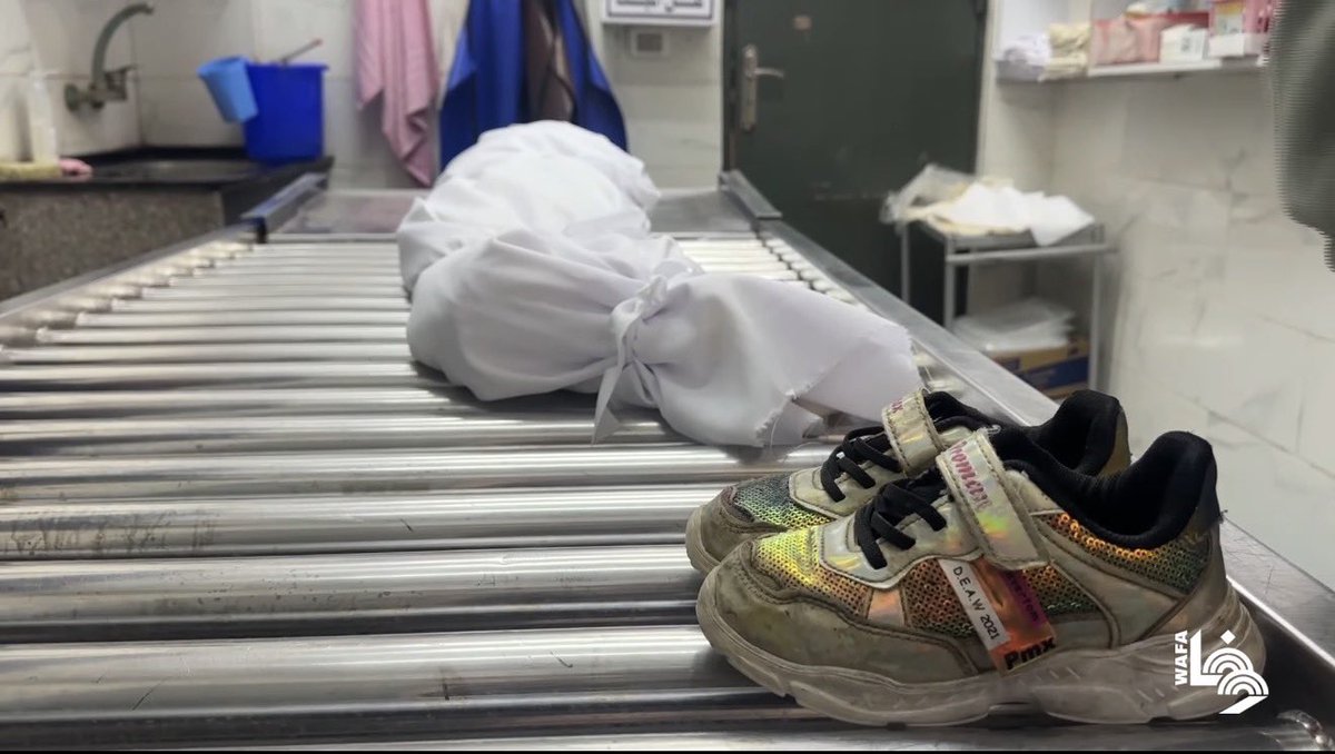 Mosab Abu Toha tweet media