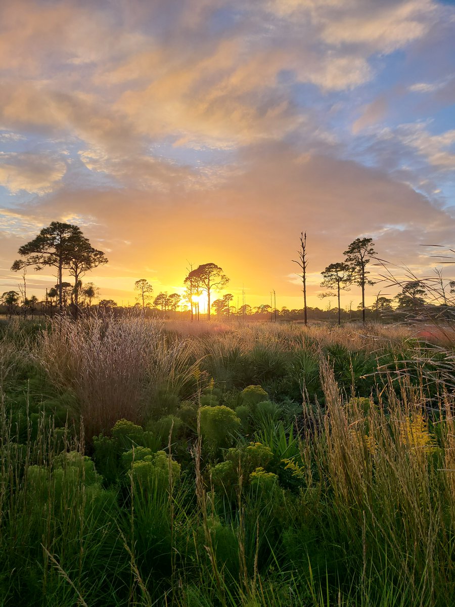 Florida State Parks tweet media