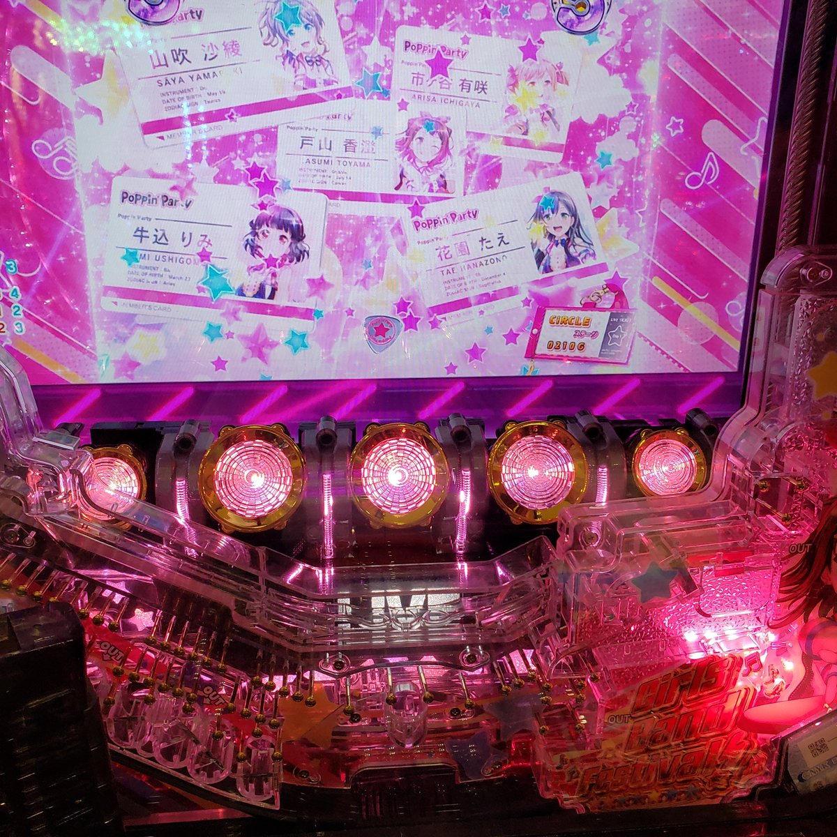 🐶柴キュン👇 tweet media