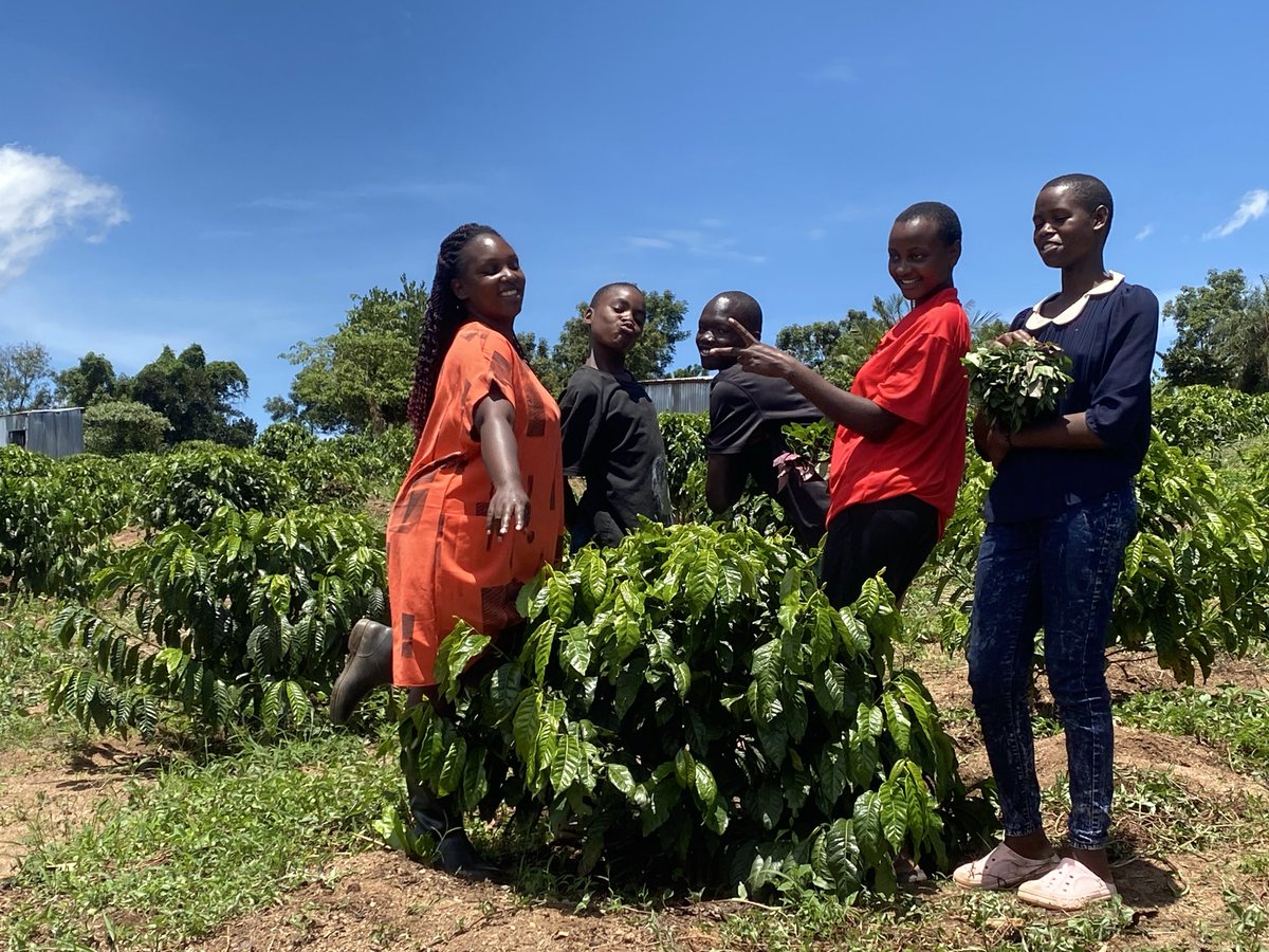 FelexPM's tweet photo. Easter Monday, we went beyond celebration

Through our Coffee 4Us Project, we spent time with children from @PennerChildCare using Agri-Therapy bringing healing, skills, hope.

For our teens 15+ coffee farming isn’t just work its purpose, dignity, and a path to a better future https://t.co/Abp6mEf7H8